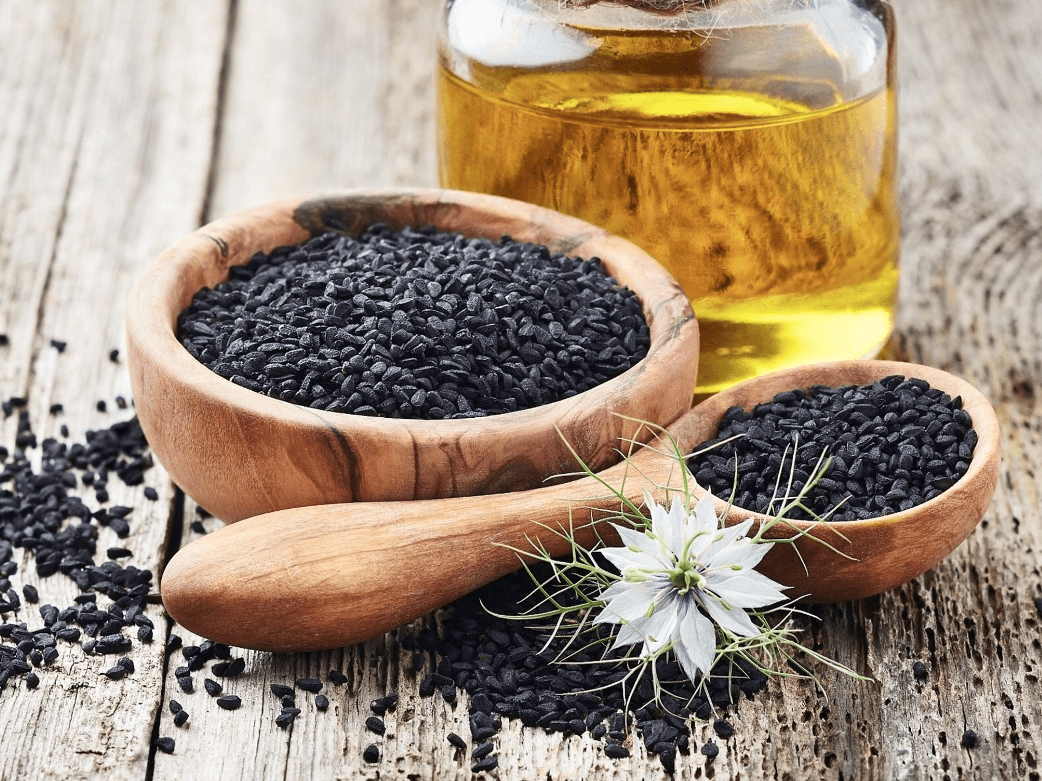 Antimicrobial Activity by a Unique Composition of Cold Pressed Nigella Sativa Oil