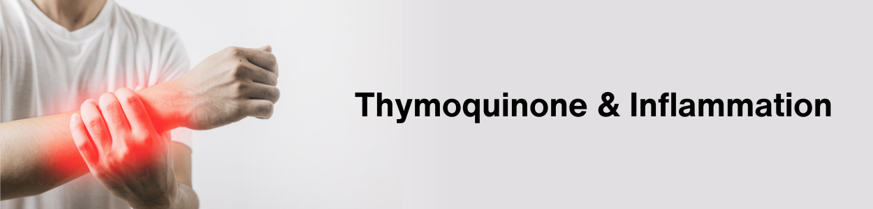 Thymoquine & Inflammation